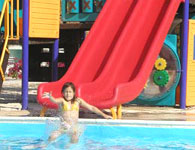 Pelícano, Cayo Largo