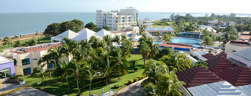 Gran Caribe -Palma Real